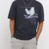 River Island Regular Fit Dove Graphic T-Shirt