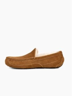 UGG Men's Ascot Slippers - Chestnut -Barbou Clothing Shop QR7XX SQ6 0000000465 CHESTNUT SLd