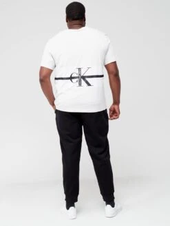 Calvin Klein Jeans Big & Tall Stripe Ck Colorblock T-shirt - Cirrus Grey -Barbou Clothing Shop URQYH SQ5 0000016835 CIRRUS GREY MDd1
