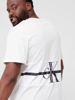 Calvin Klein Jeans Big & Tall Stripe Ck Colorblock T-shirt - Cirrus Grey -Barbou Clothing Shop URQYH SQ6 0000016835 CIRRUS GREY MDd2