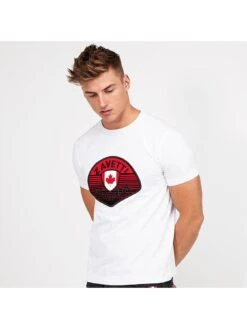 Zavetti Canada Botticini T-shirt - White -Barbou Clothing Shop VHXB3 SQ6 0000000013 WHITE MDd2