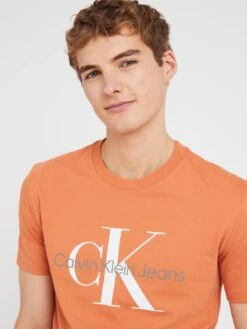 Calvin Klein Jeans Seasonal Monologo T-shirt - Orange  -Barbou Clothing Shop VJV5V SQ4 0000000029 MULTI MDd