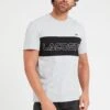 Lacoste Colour Block T-shirt - Grey