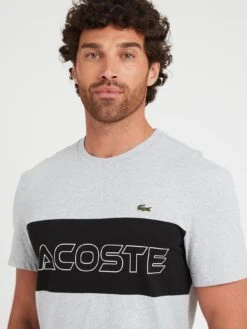 Lacoste Colour Block T-shirt - Grey -Barbou Clothing Shop VJW9H SQ4 0000000005 GREY MDd