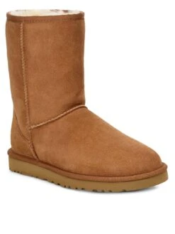 UGG Men's Classic Short Boots - Chestnut -Barbou Clothing Shop VKDCU SQ3 0000001277 LIGHT BROWN SLf