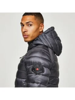 Zavetti Canada Terosso Hybrid Padded Jacket - Dark Grey  -Barbou Clothing Shop VL4R2 SQ5 0000000070 DARK GREY MDd1