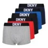 DKNY 5 Pack Walpi Trunks